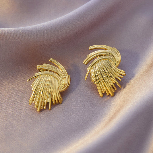 Irregular Spiral Fan Shaped Earrings